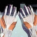 Horizon Ventures, Lenovo Joins $50M Series B Round In AR Firm Meta