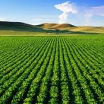 Hosen Capital Completes Final Closing For $440M Third Agribusiness Fund